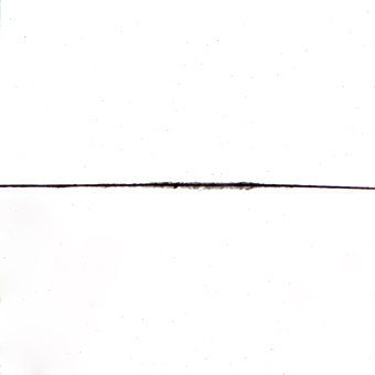 ALF1A-01AA
