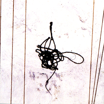 ALF-10