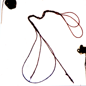 ALF-16